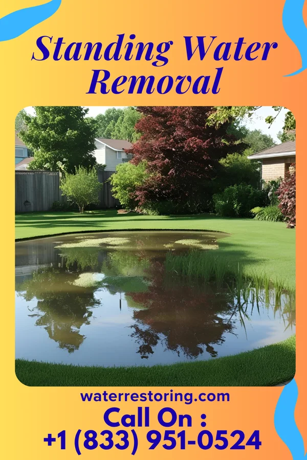 Standing Water Removal in Ridgely, MO
